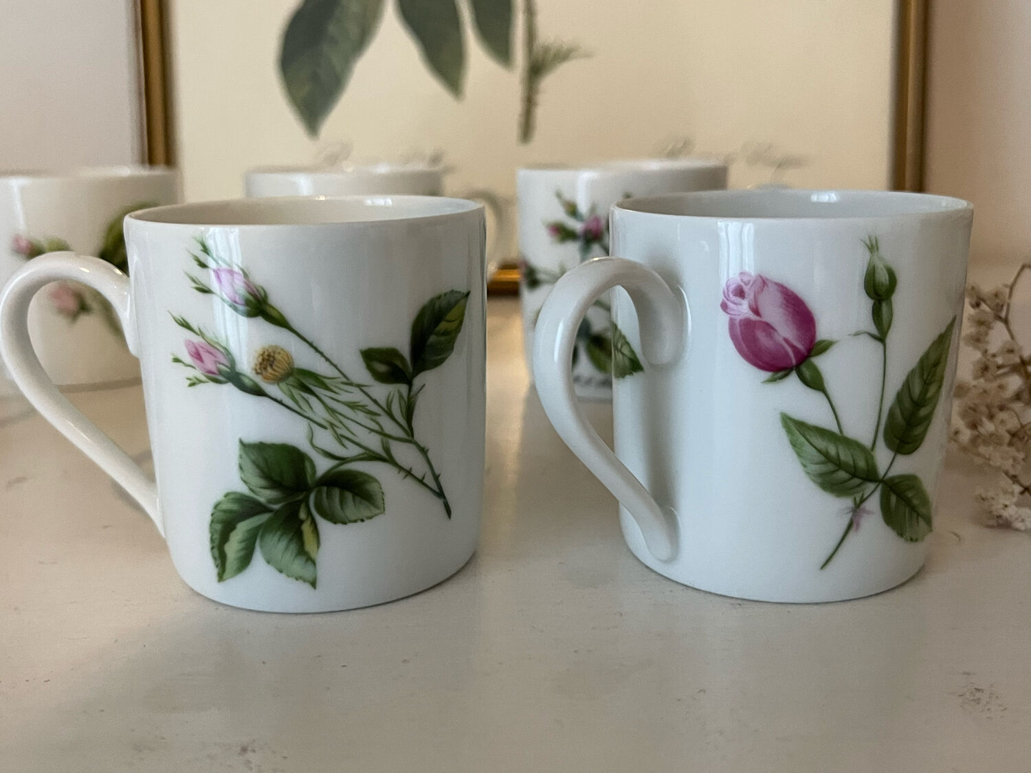 Porcelain cups rose pattern