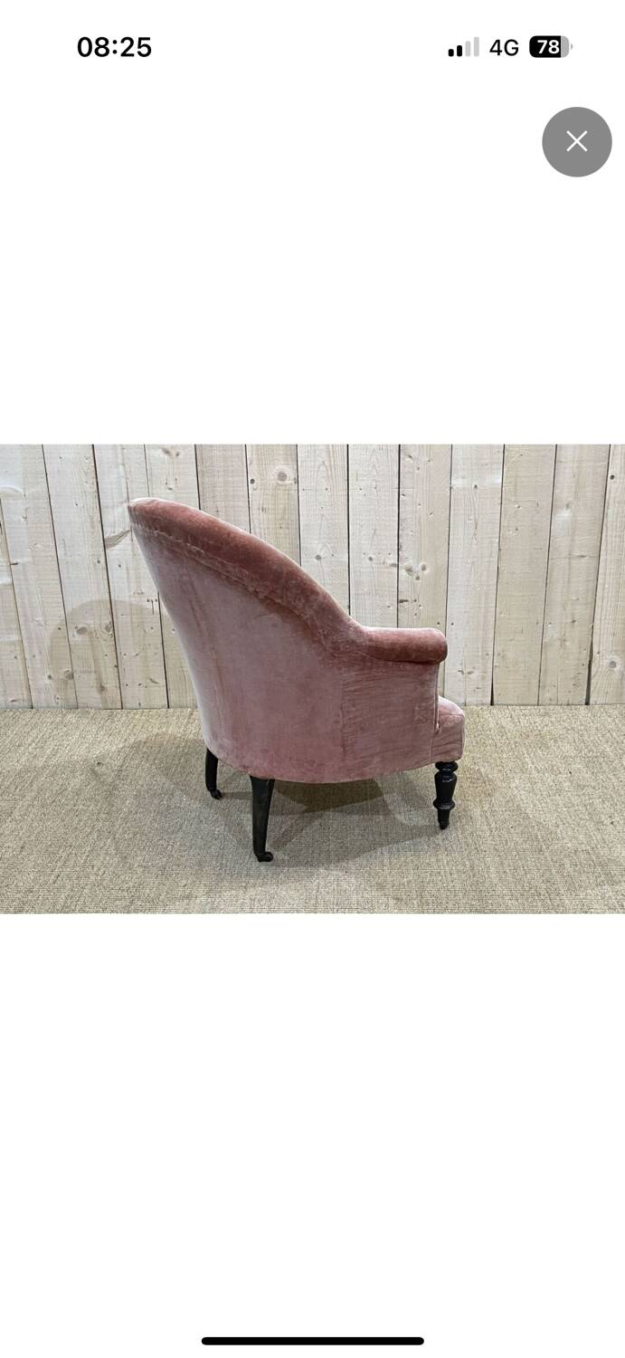 Napoleon III Toad Armchair