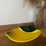 Lemon barbotine vide poche Vallauris