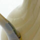 Pitcher murano pivoting 1960