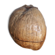 Seau à glaçon noix de coco vintage 1960