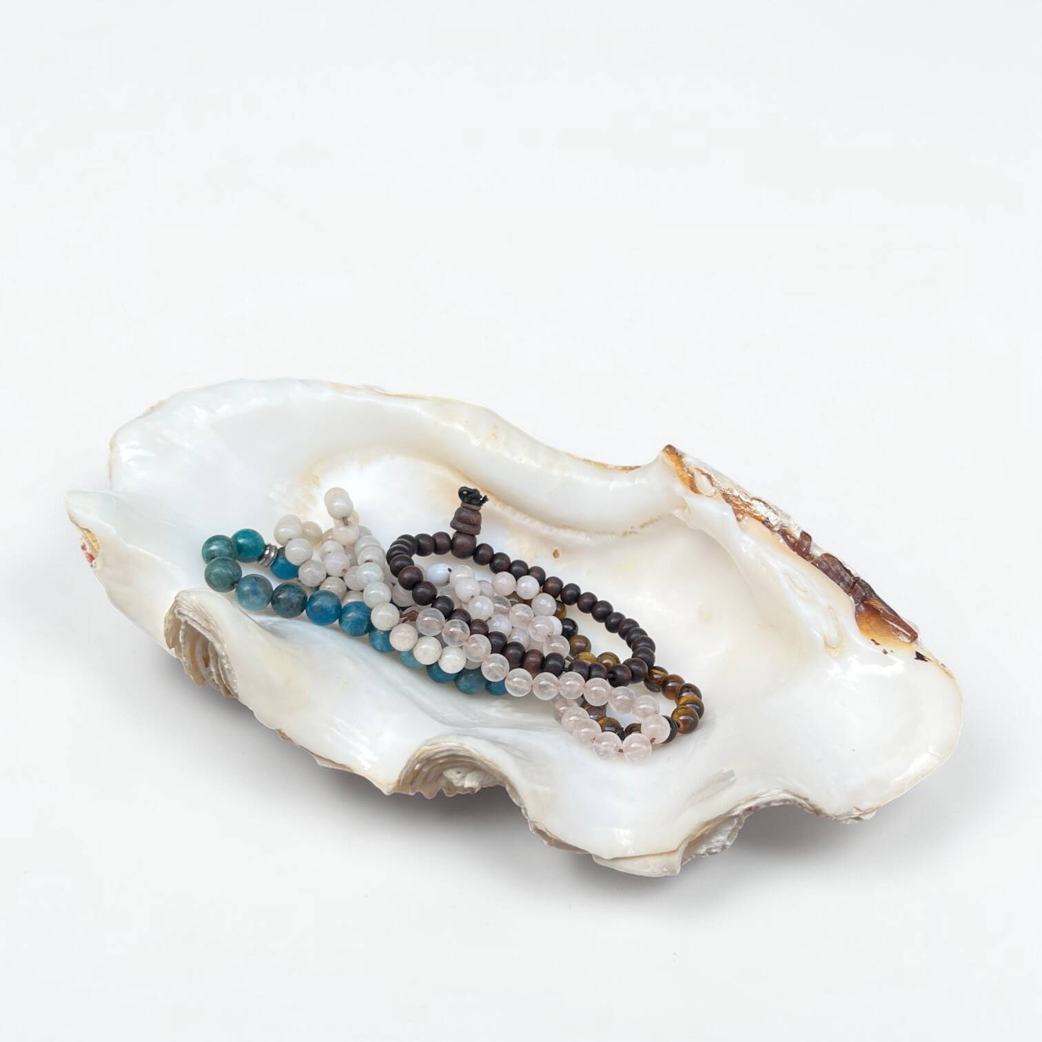 Vide-poche coquillage bénitier, années 70