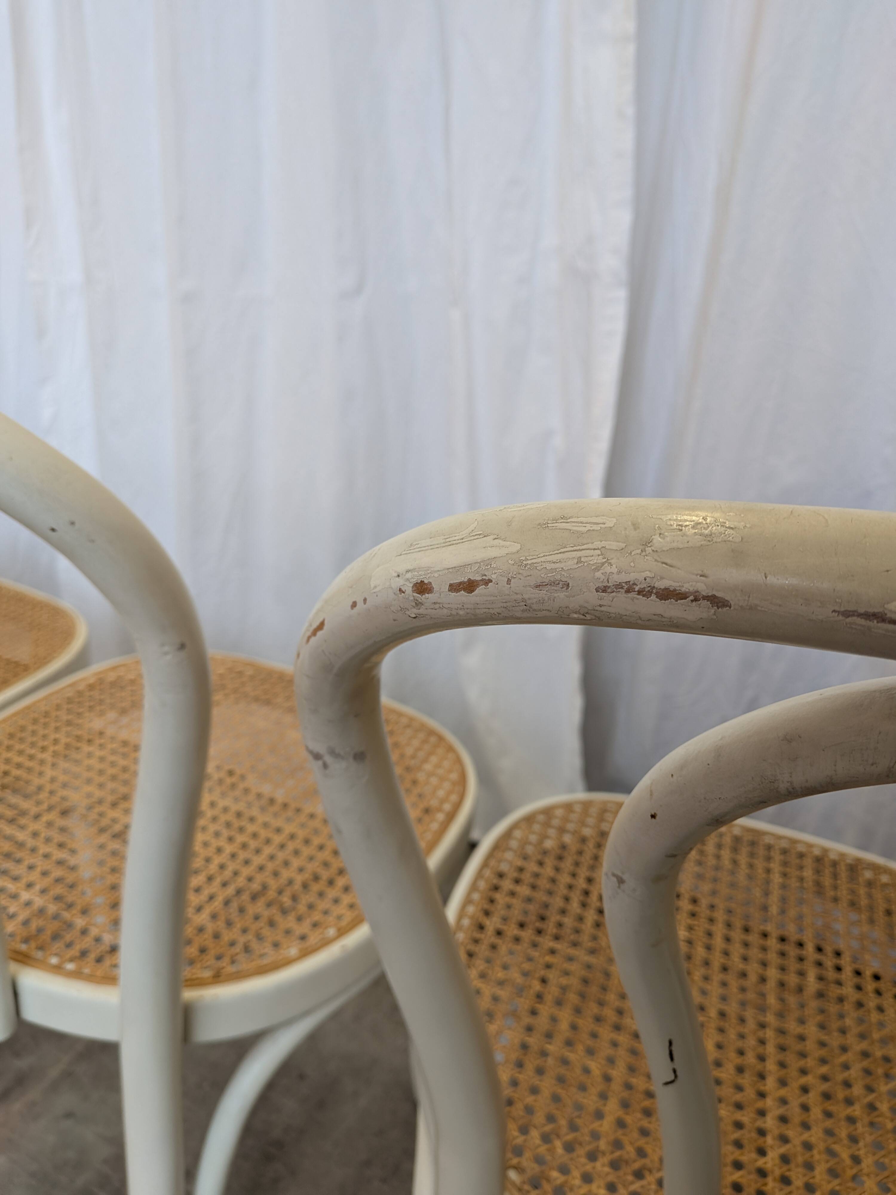 Ensemble de 6 chaises de salle à manger vintage de style Thonet : bois blanc et assise en cannage.