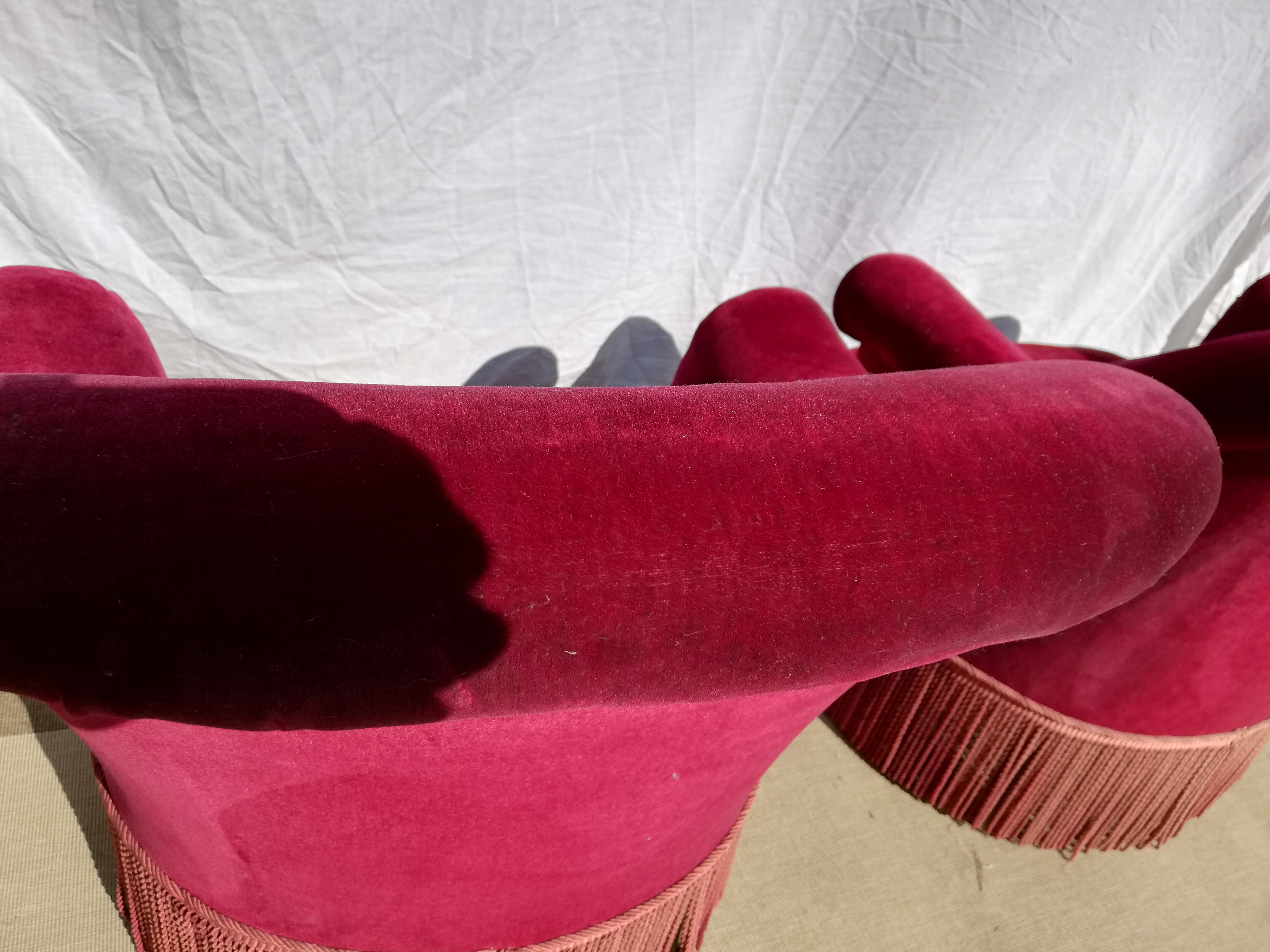 Two pretty cinema red Toad