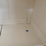 Vintage Parisian buffet 260209