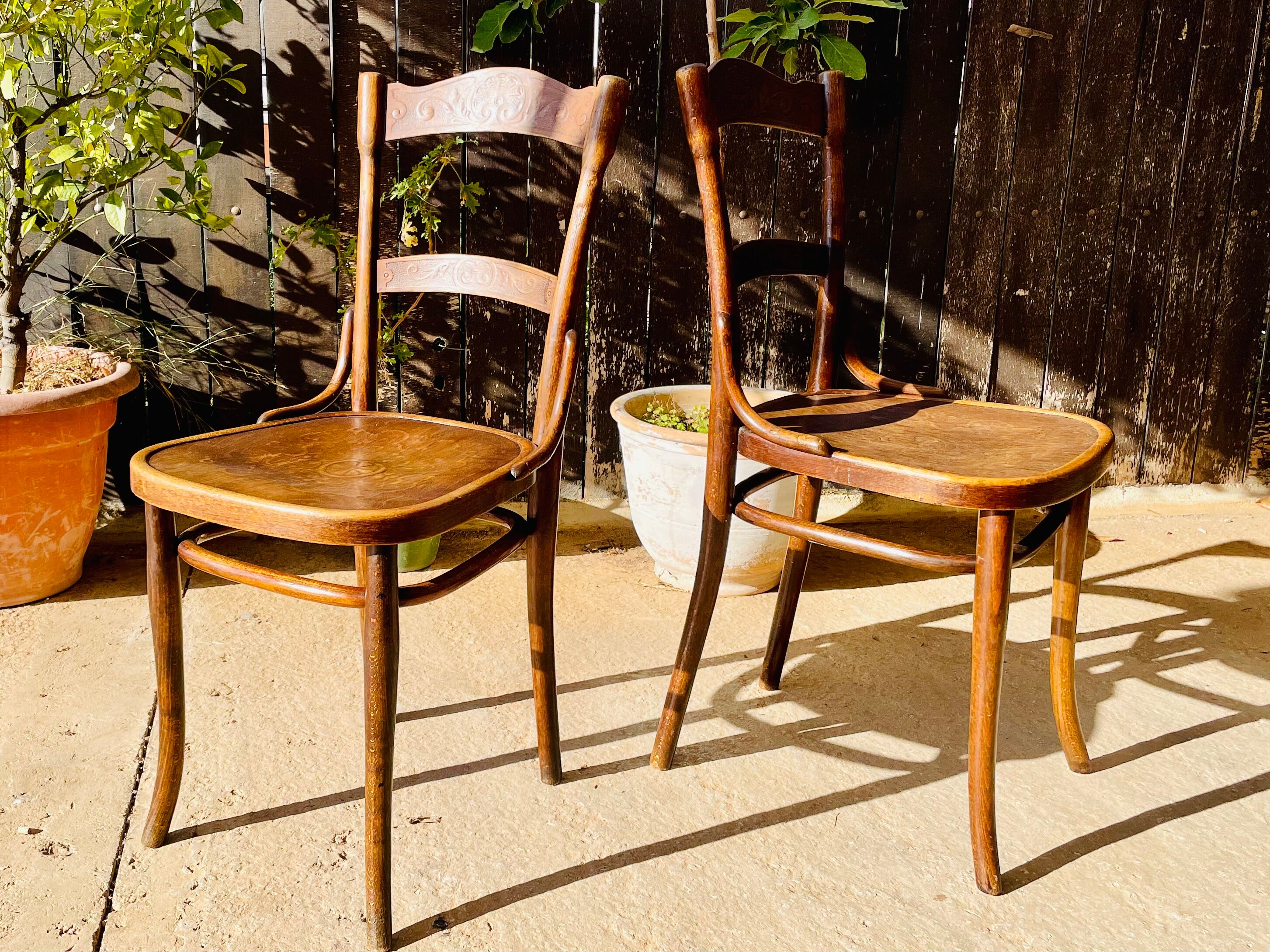 Suite of 4 Thonet chairs 1900