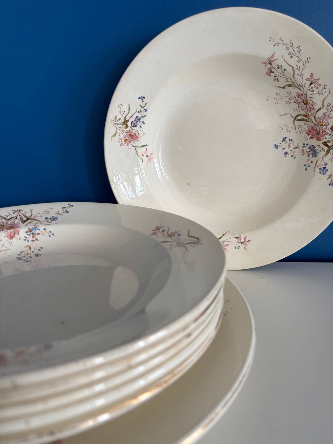 Set of 6 soup plates and 1 dish in polychrome ironstone Choisy-le-Roi