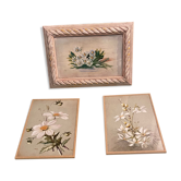 Flowery paintings