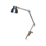 Articulate metal lamp