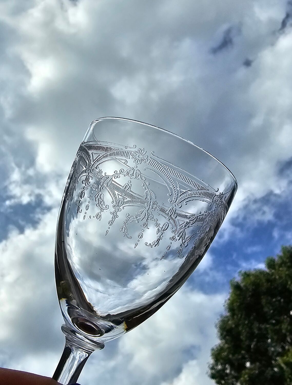 “Manon” St-Louis wine glasses