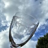 “Manon” St-Louis wine glasses