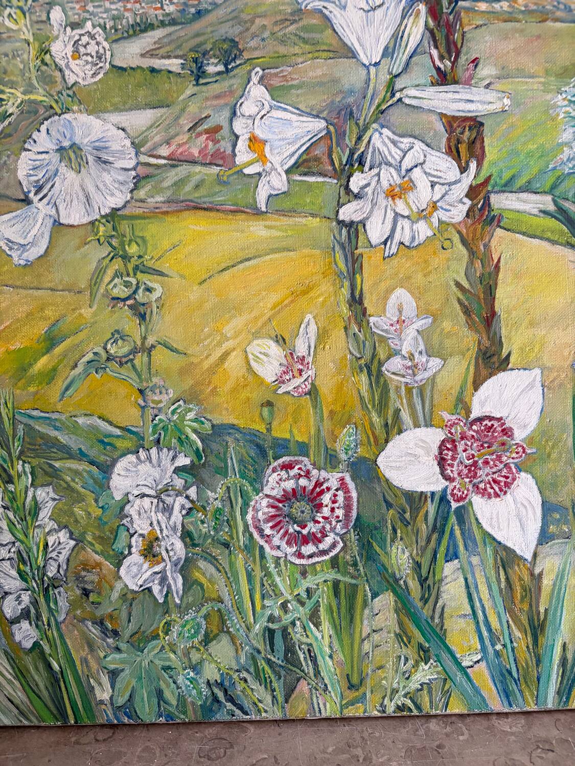 List of tigridias and hollyhocks, signed Maurice Bouillot 1972