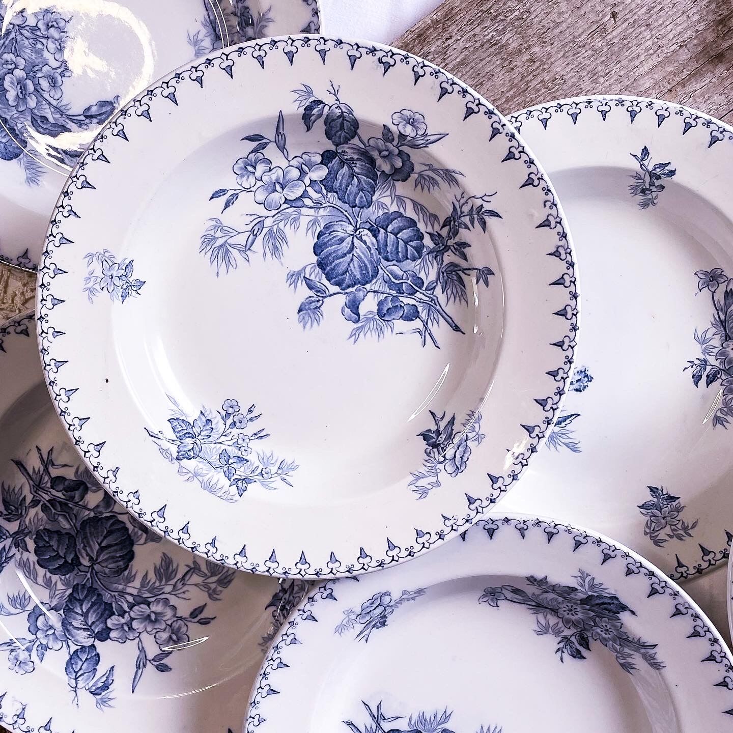 6 hollow plates iron earth model Flora