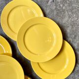 12 yellow earthenware dinner plates