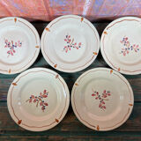 5 vintage dessert plates with flowers