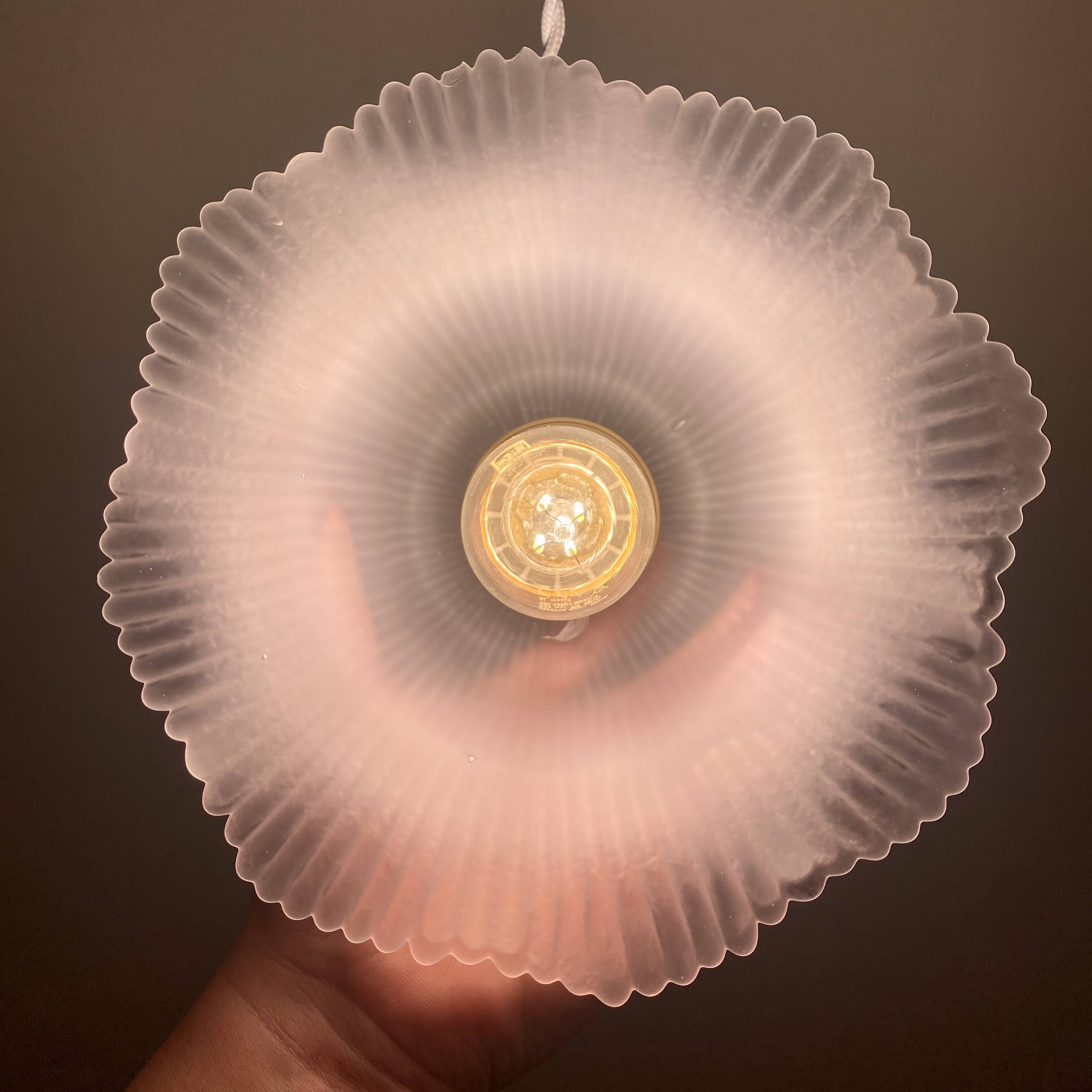 Vintage frosted glass lampshade pendant light