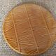 Plat en barbotine