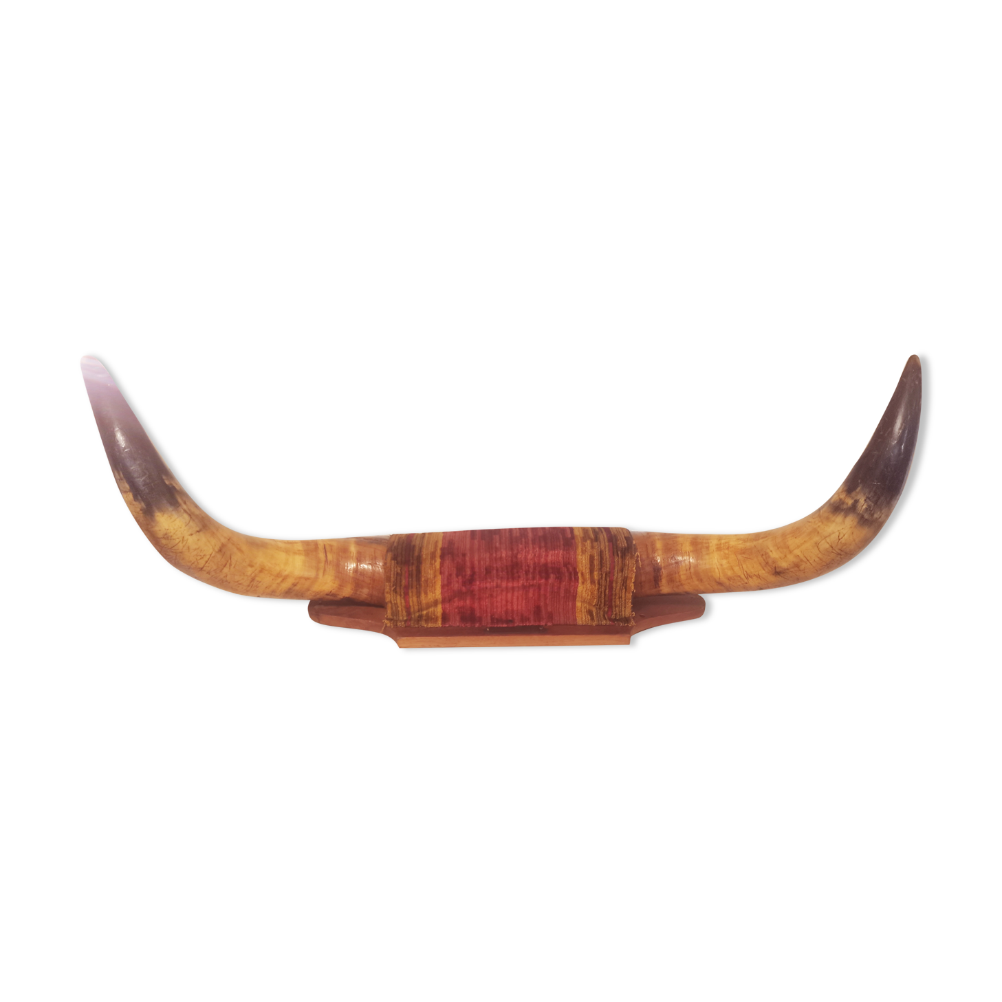 Horns of salerse