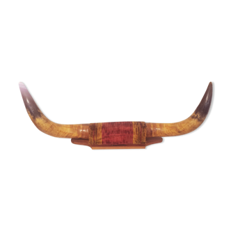 Horns of salerse