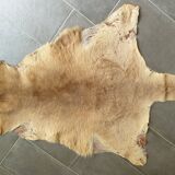 Kangaroo skin