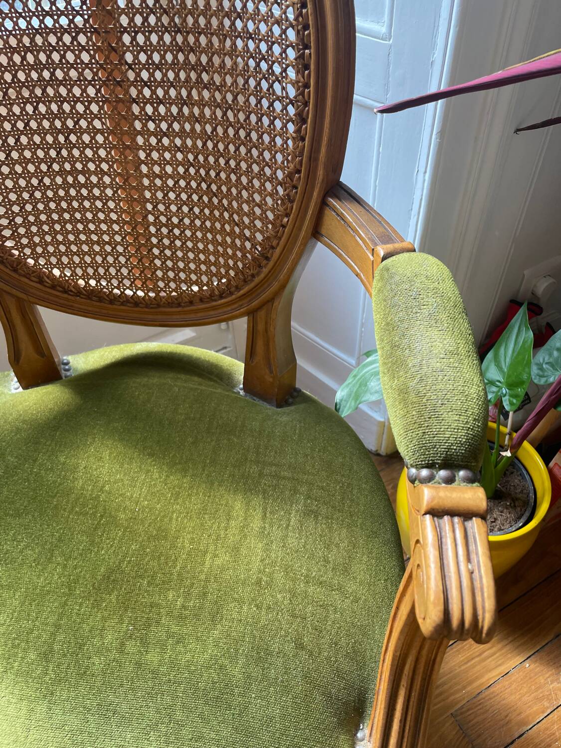 Louis XVI style armchair in velvet and rattan