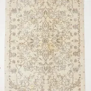 5x9 Ivory & Cream Oriental Persian Rug, Vintage Classic Home Decor Carpet