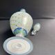 Large signed decanter - Hand decoration - XXth