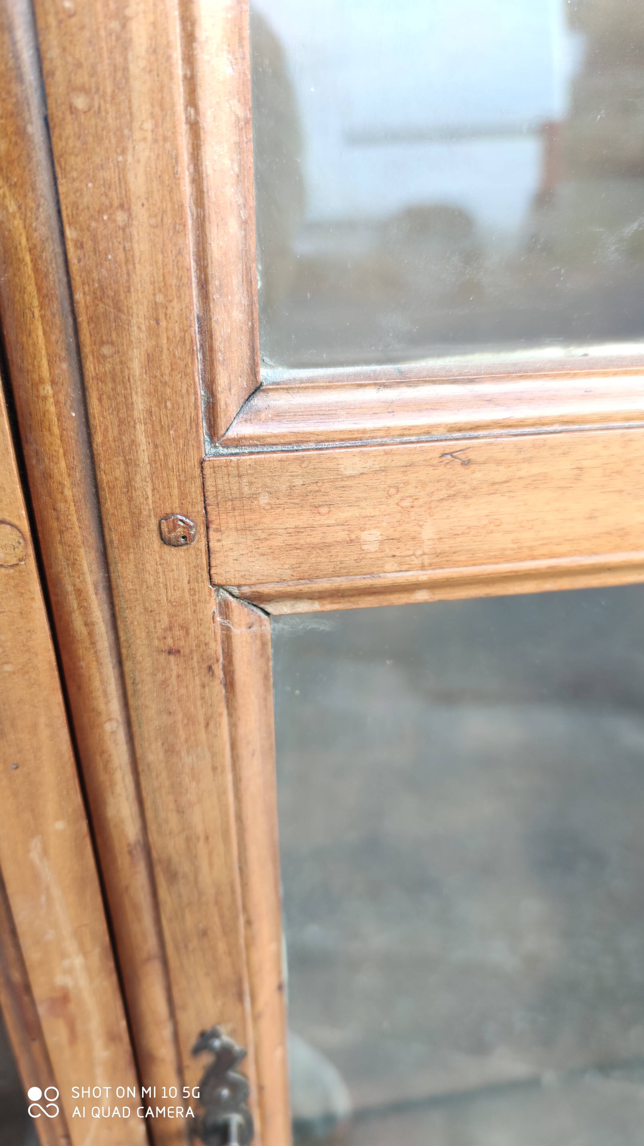 4-century blond walnut library