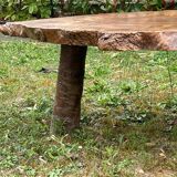 Elm wood table