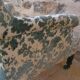 19th century armchair with foliage