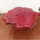 Brutalist coffee table magnifying elm