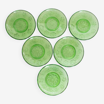 Set of 6 plates green cups flower pattern