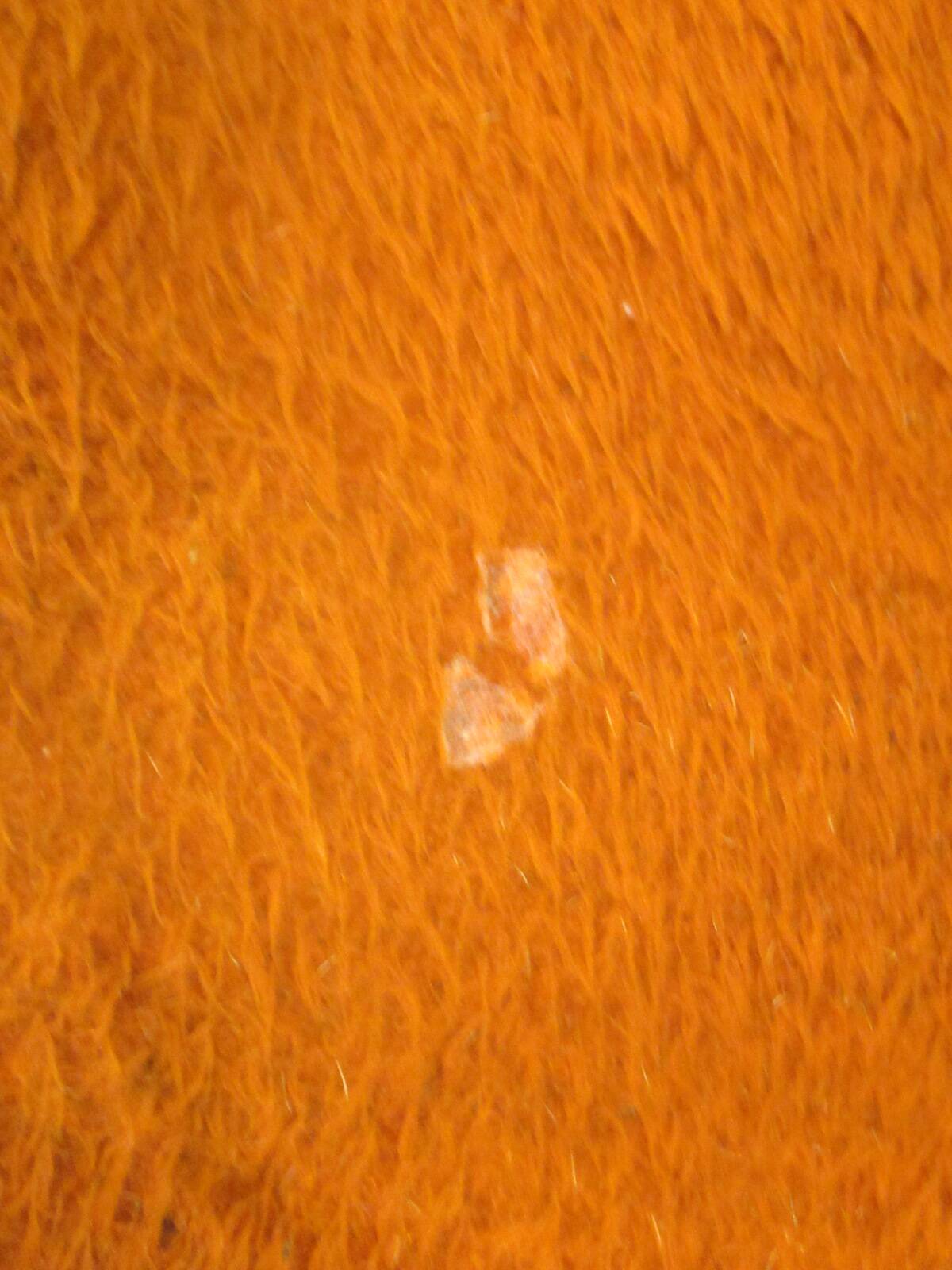 Pair of vintage armchairs