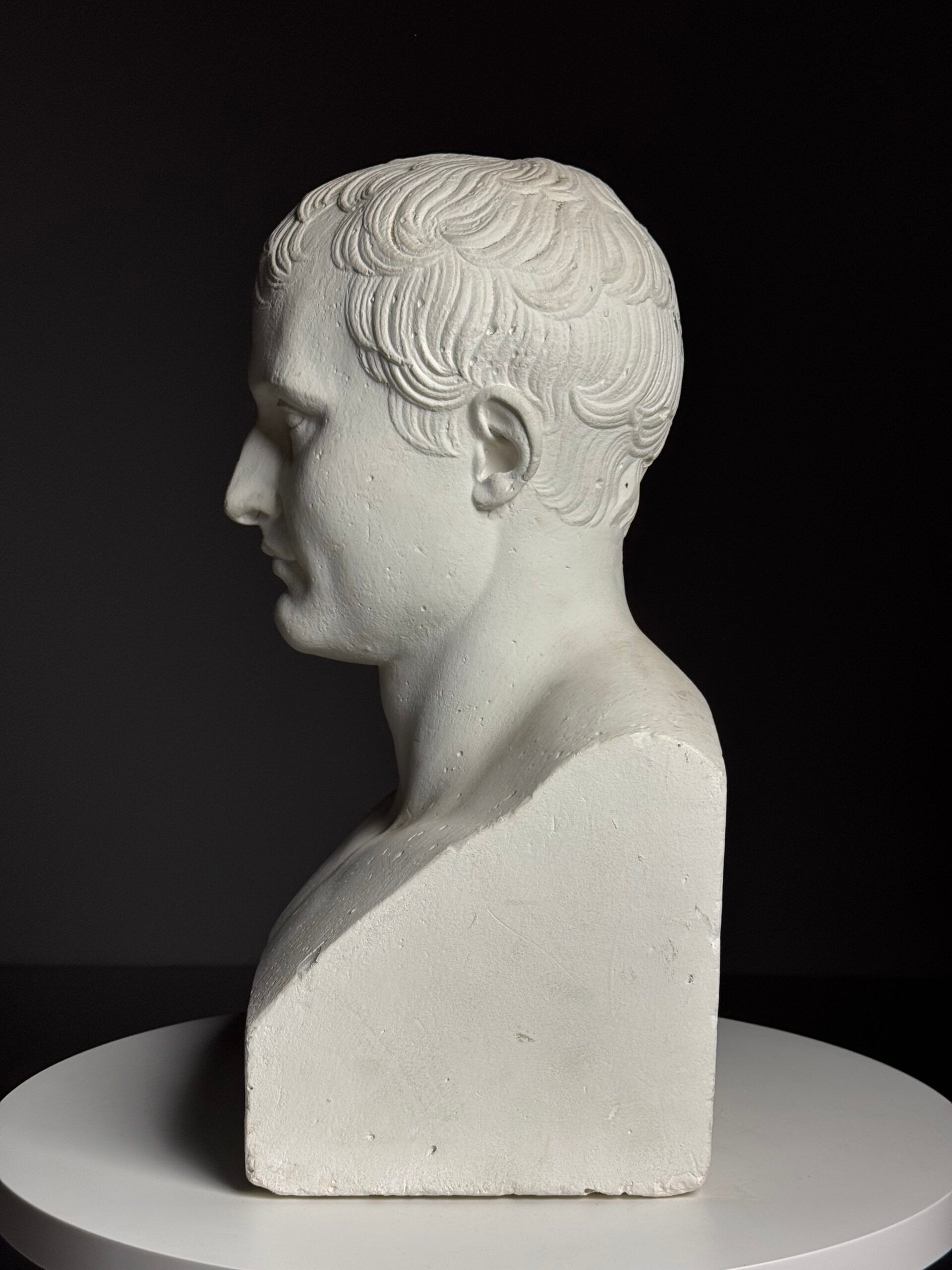Buste de Napoléon en plâtre, 20e siècle.