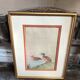 Old painting drawing watercolor duck view + vintage golden frame
