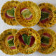 lot 6 dessert plates slurry Sarreguemines