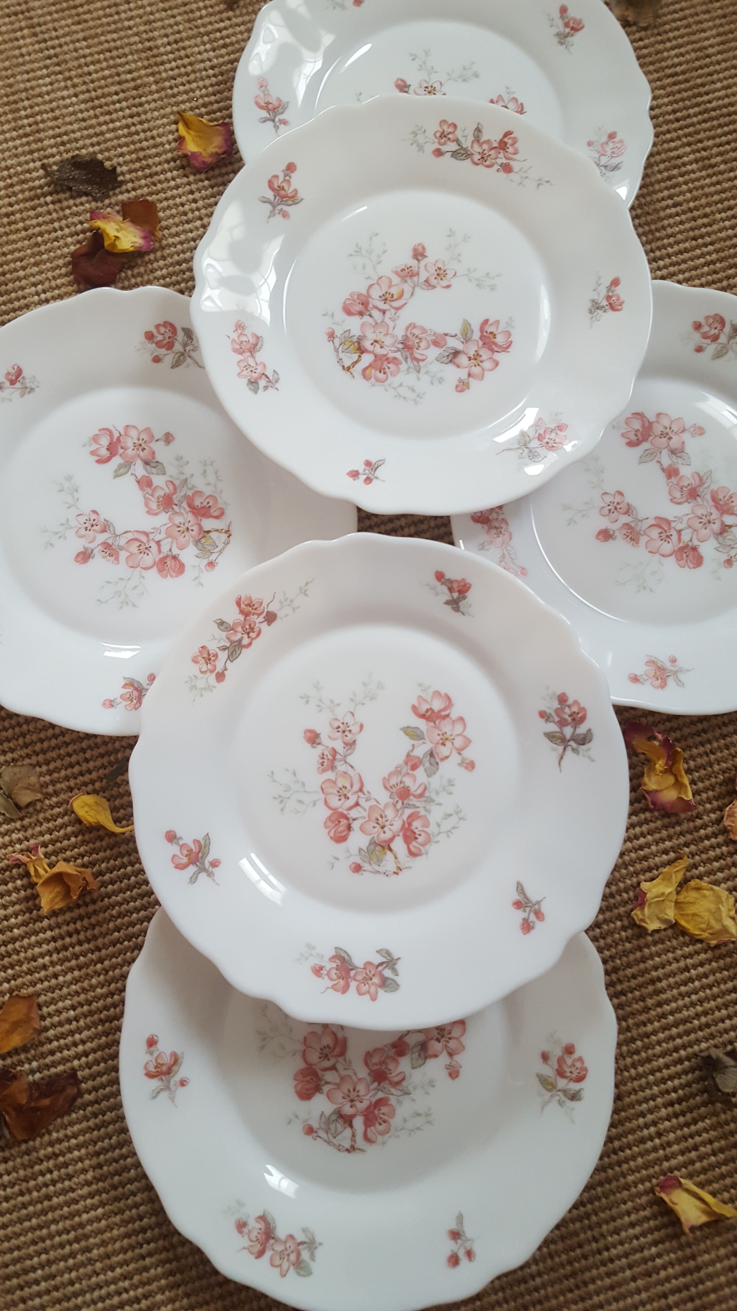 Assiettes dessert vintage arcopal fleuries