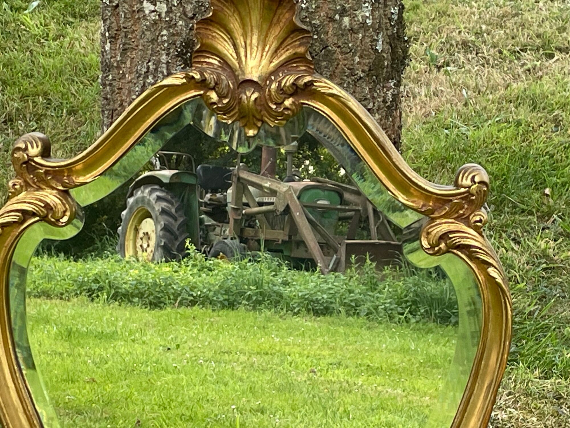 Beveled gilded wood mirror with violin shapes, Louis XV baroque style shell
