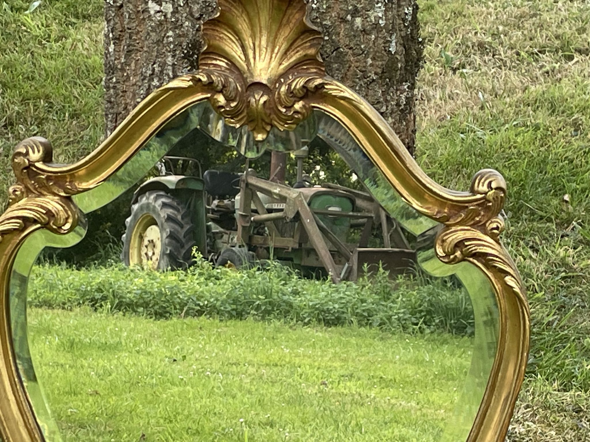 Beveled gilded wood mirror with violin shapes, Louis XV baroque style shell