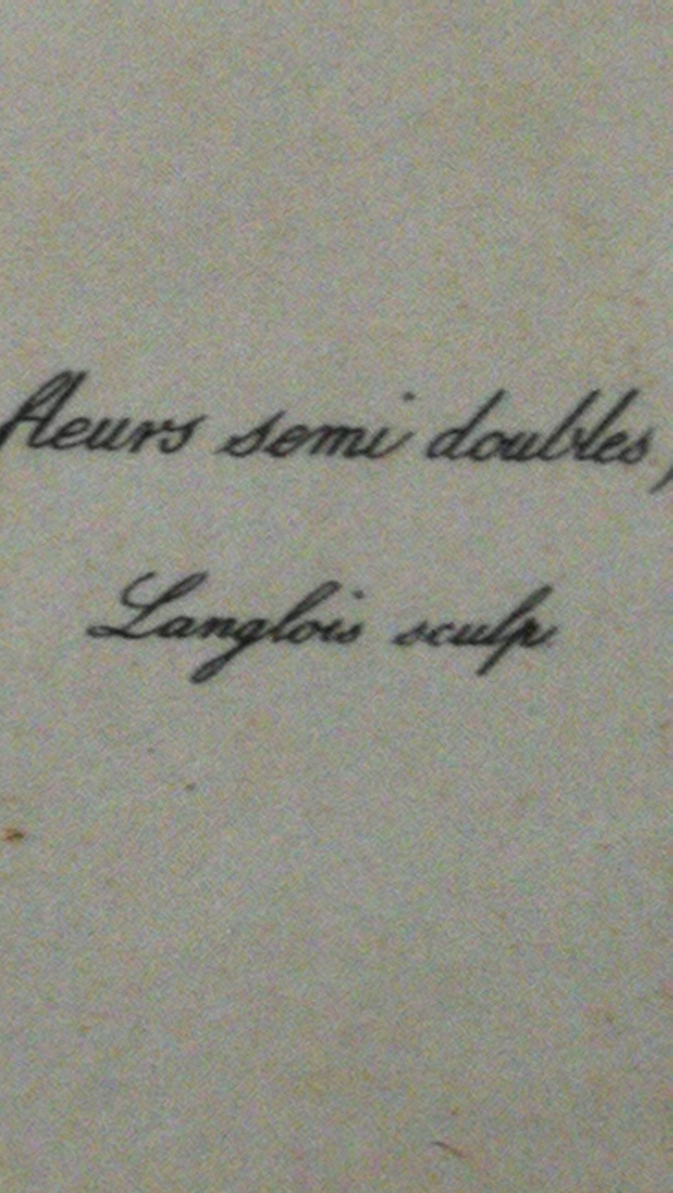 Botanical frame p. j redouté pinx imprimerie de rémond