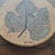 Wall ceramic leaf by Roger Capron, France 1960s-70s