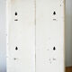 Cabinet to pharmacy or metal toilet
