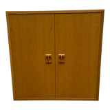 Hinged door cabinet