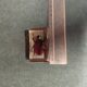 Beetle resin block