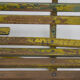 Banc vintage en bois et fer, années 1930