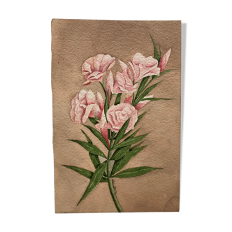 Aquarelle florale vintage