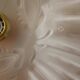 Frosted glass tulip hanging lamp