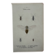 Vintage butterfly insect engraving