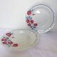 2 deep plates Céranord St Amand model Le Printemps (220634)
