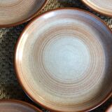 Series of 5 flat plates